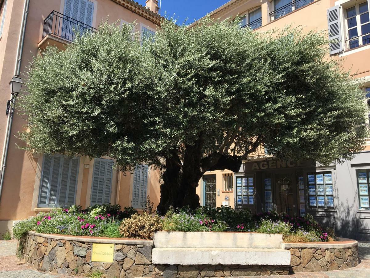 Bastide Du Levant Sainte-Maxime Buitenkant foto